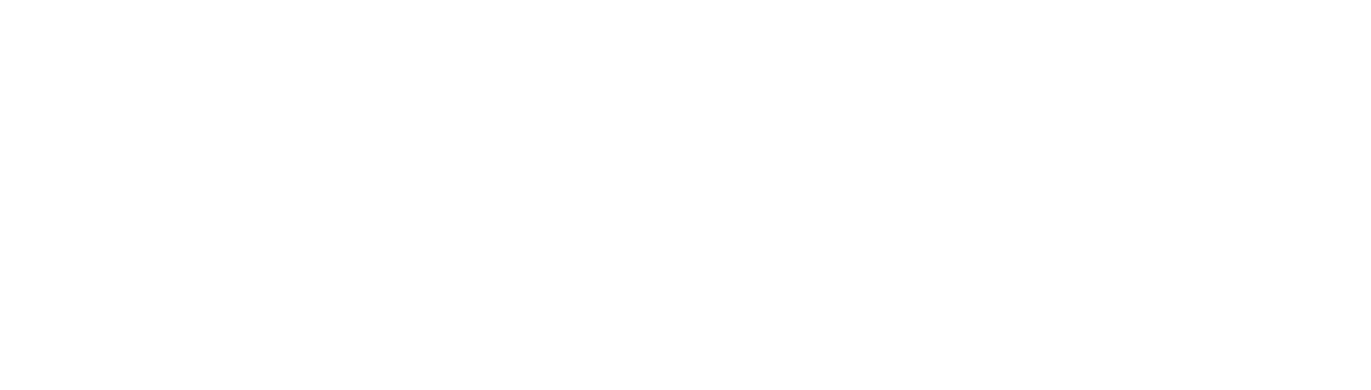 Bromma VVS logotyp